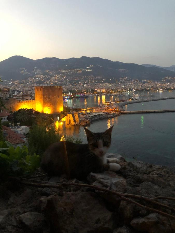 Harmony Butik Otel (Adults Only) Alanya Zewnętrze zdjęcie